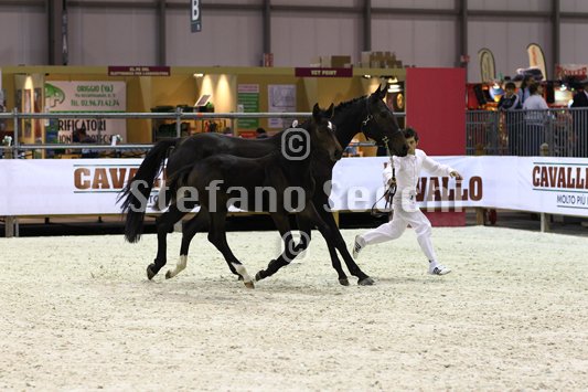 PRINCESS LIESA_MILANO_2010_SS3_7439.jpg